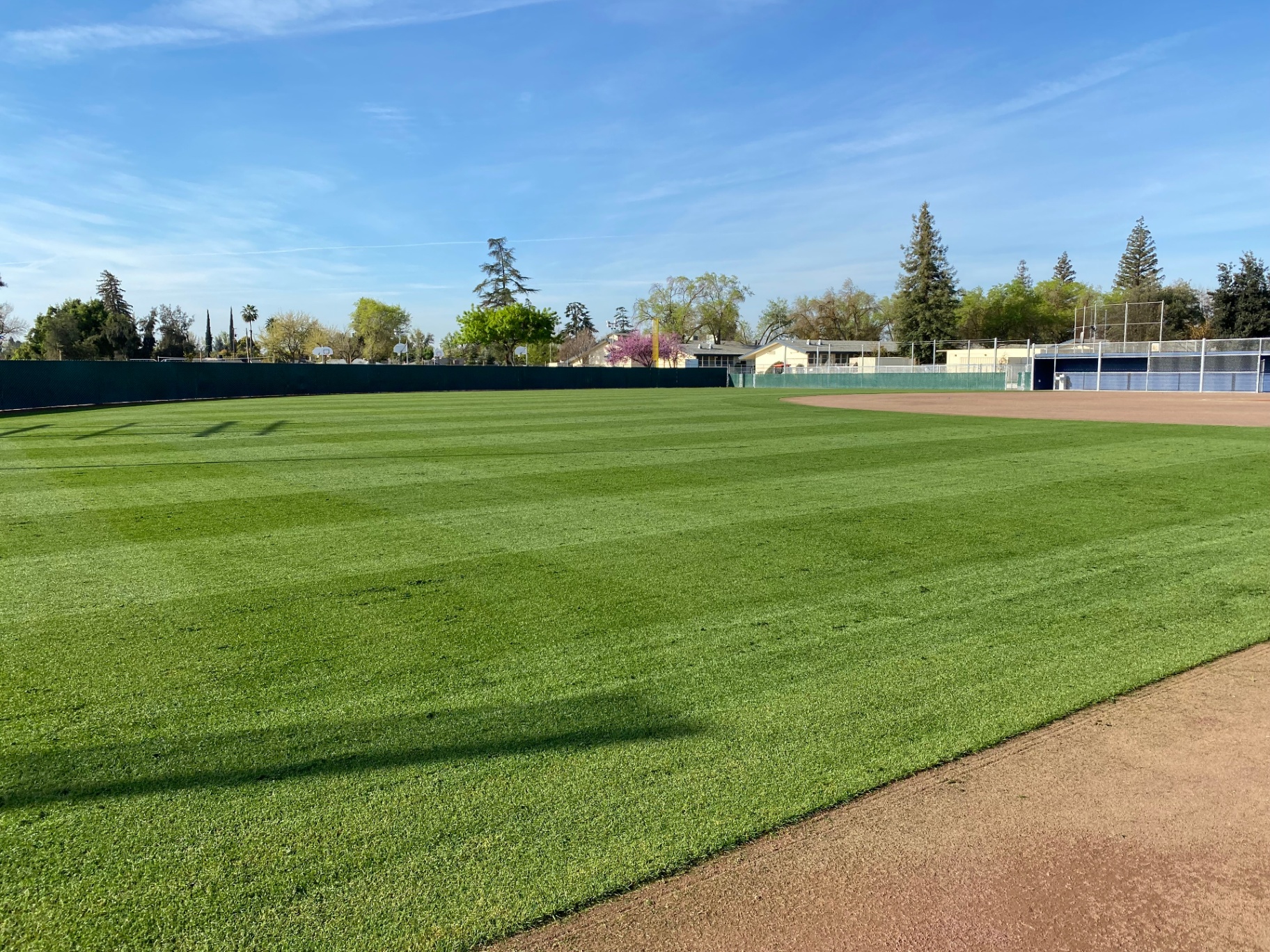 Softball field — outfield grass with striped mow pattern